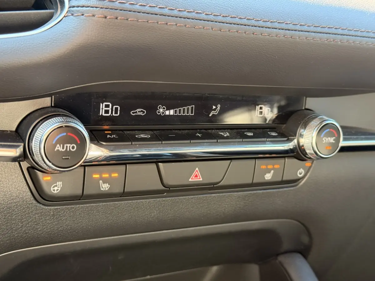 2.0 e-SkyActiv-G 120 Excl.-Line | Leer | 360 | Bose