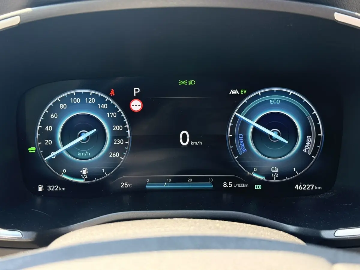 1.6 T-GDI PHEV Premium Sky 7p | Pano | 360 | Leer