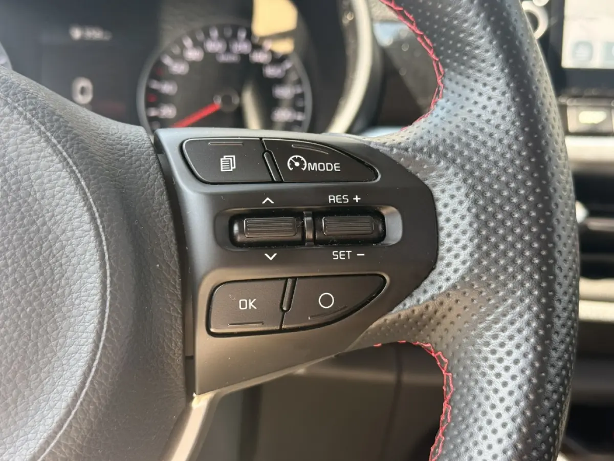 1.0 DPi GT-Line | Keyless | Navi | Camera