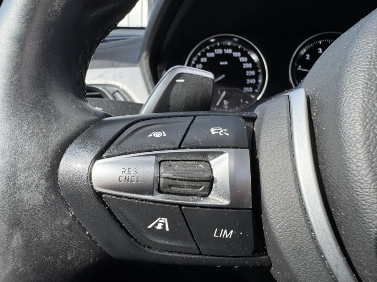 sDrive20i High Executive | Leer | HUD | Panoramadak