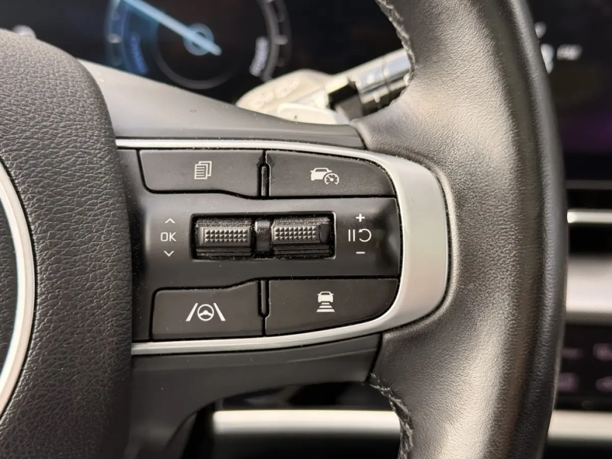 1.6 T PHEV Hybrid GT-Line | Pano | Camera | ACC