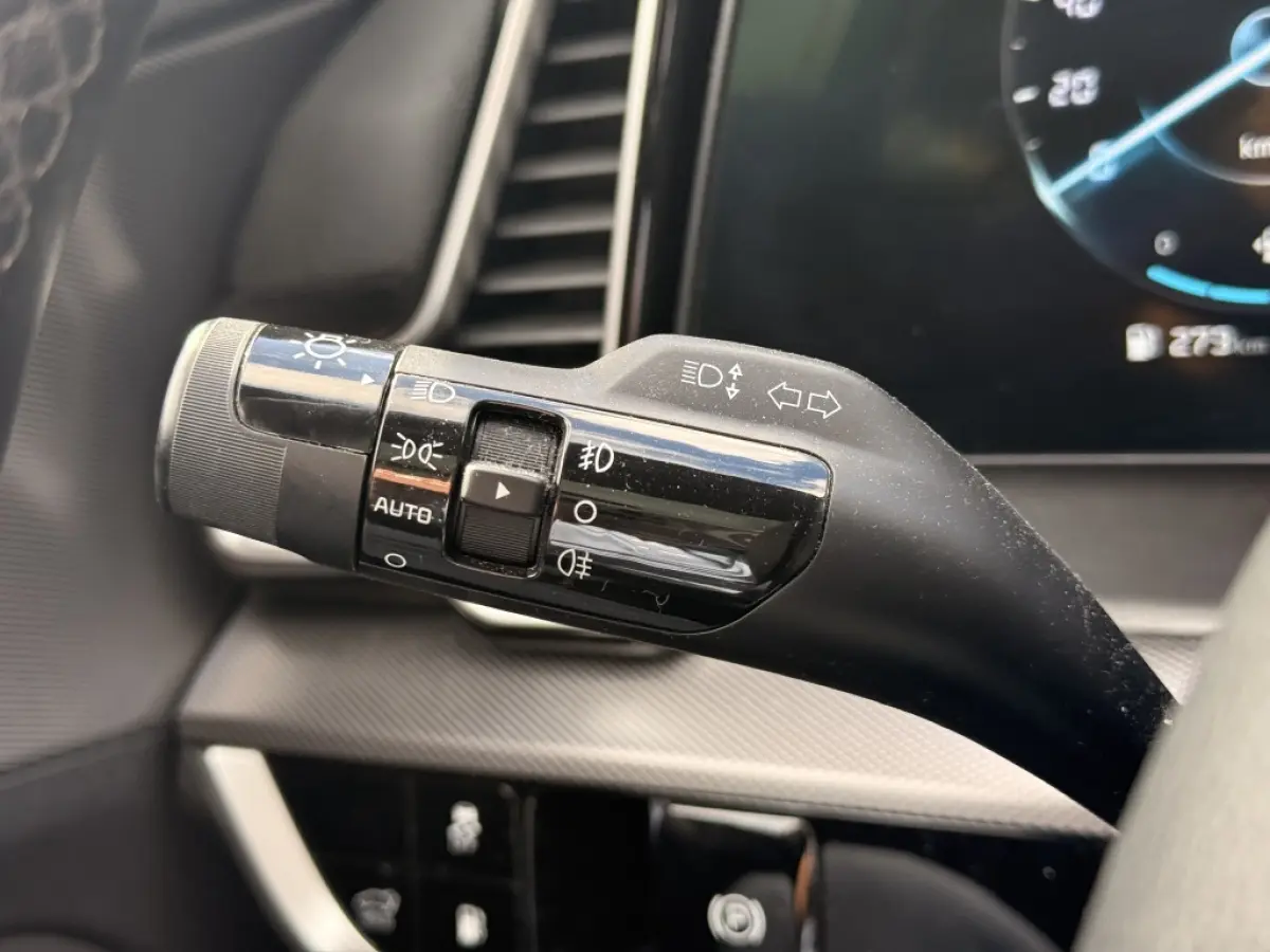 1.6 T PHEV Hybrid GT-Line | Pano | Camera | ACC