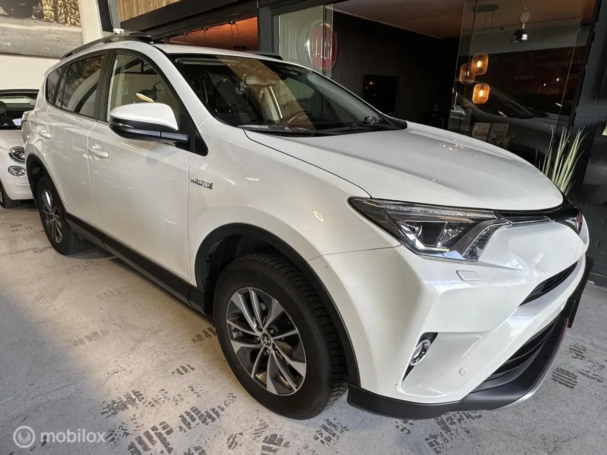 2.5 Hybrid Dynamic