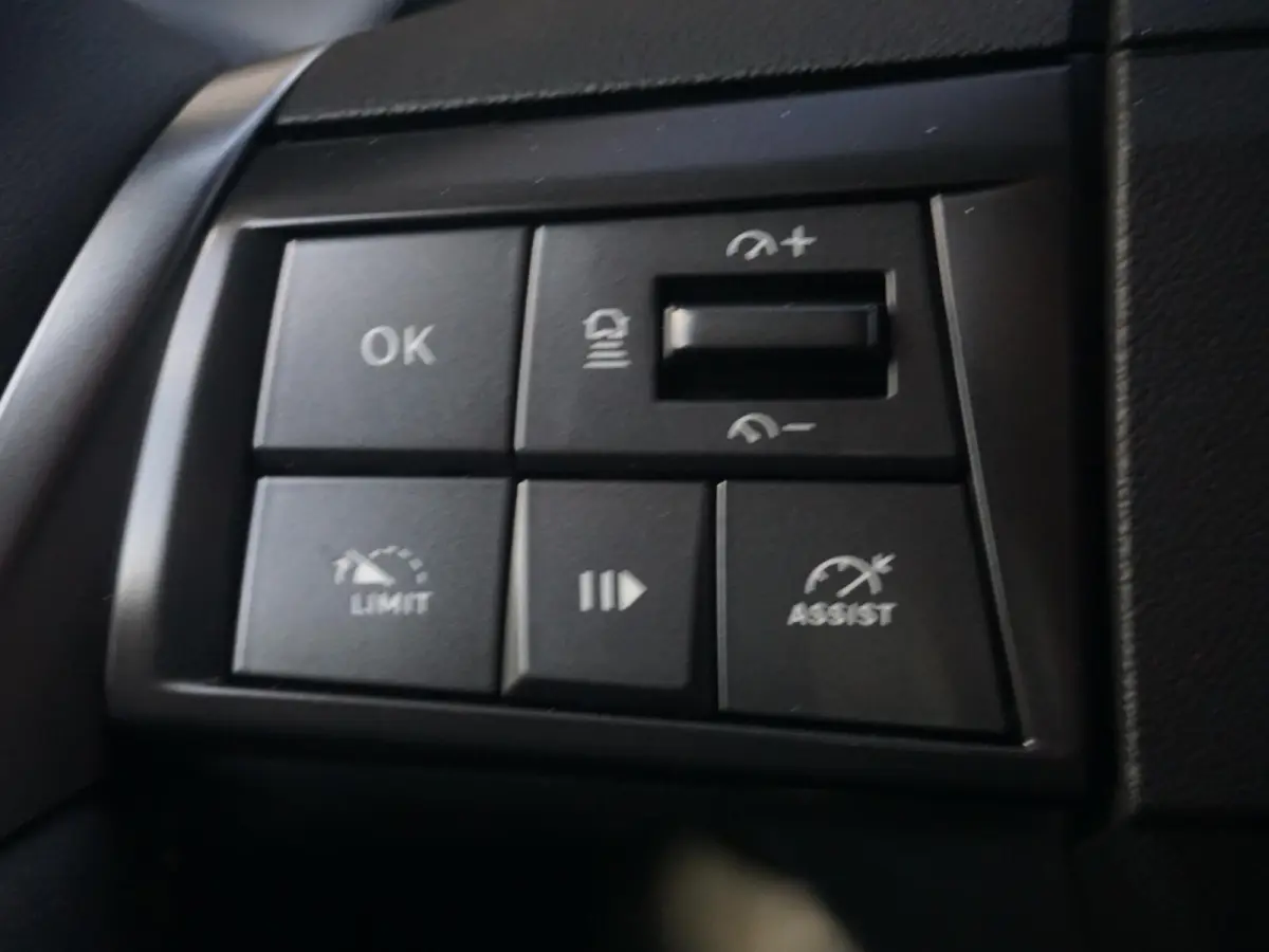 1.2 Turbo Hybrid Business Edition Winterpakket