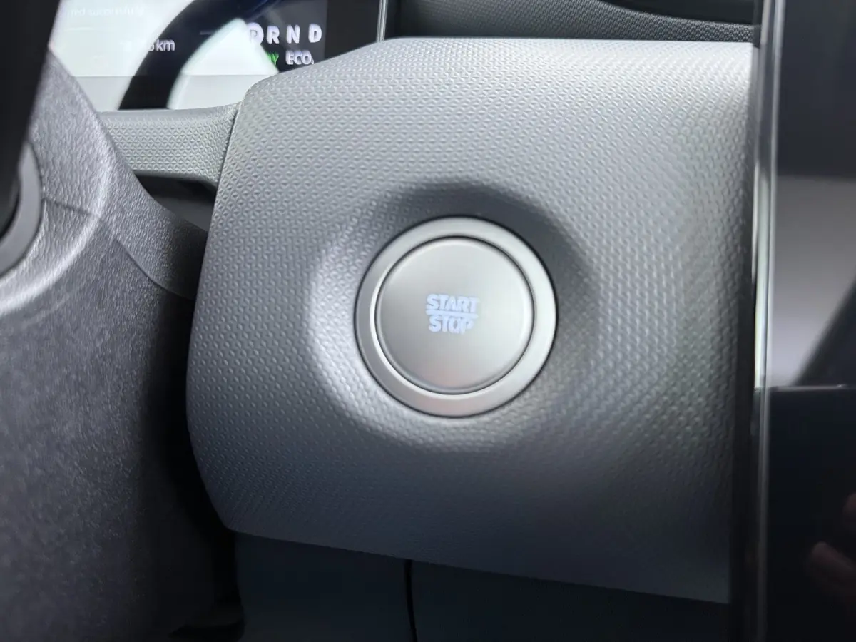 Design 37.3 kWh | Achteruitrijcamera | Cruise control adaptief | Keyless start