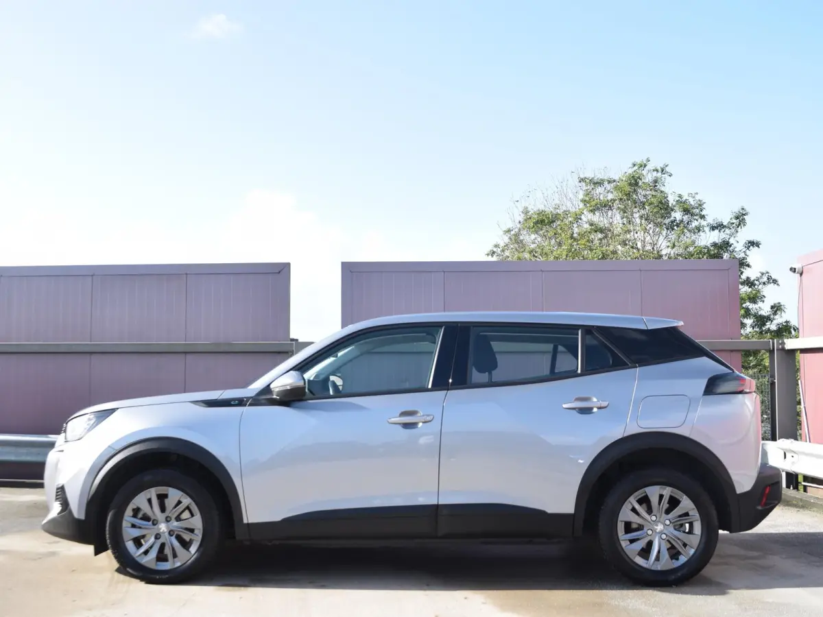 EV Active 50 kWh | CLIMATE CONTROL | PARKEERSENSOREN MET CAMRERA | CRUISE CONTROL |