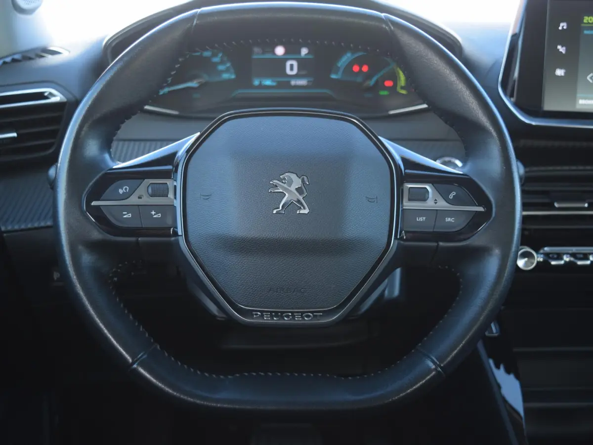EV Active 50 kWh | CLIMATE CONTROL | PARKEERSENSOREN MET CAMRERA | CRUISE CONTROL |