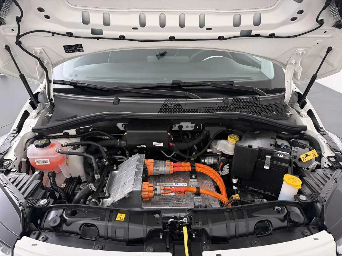 42 kWh | Pack Comfort | Lichtmetalen velgen | SOH 95,4 |