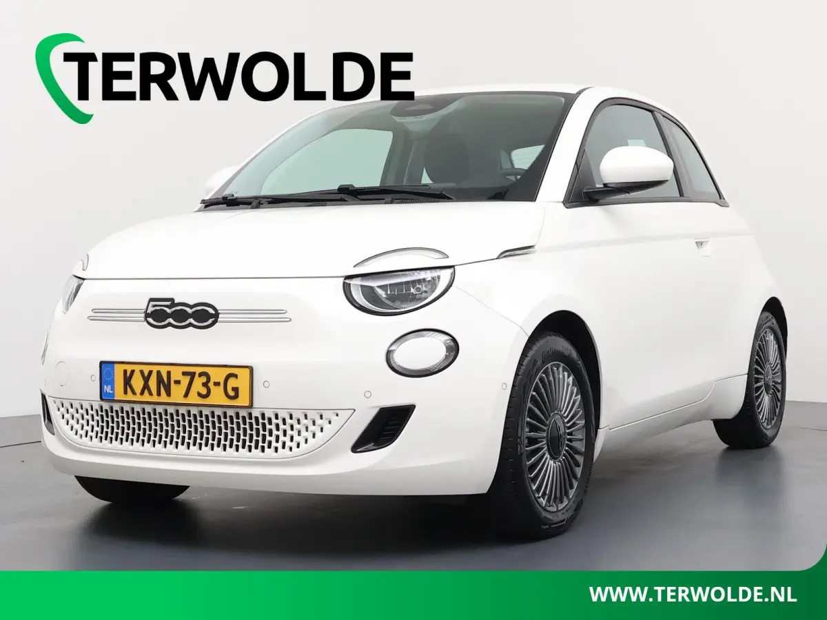 42 kWh | Pack Comfort | Lichtmetalen velgen | SOH 95,4 |