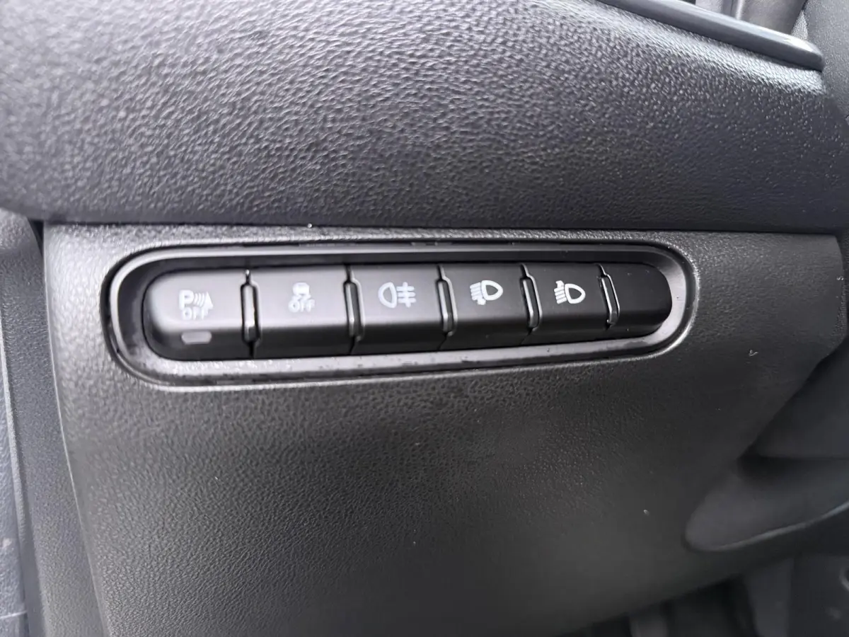 42 kWh | Pack Comfort | Lichtmetalen velgen | SOH 95,4 |