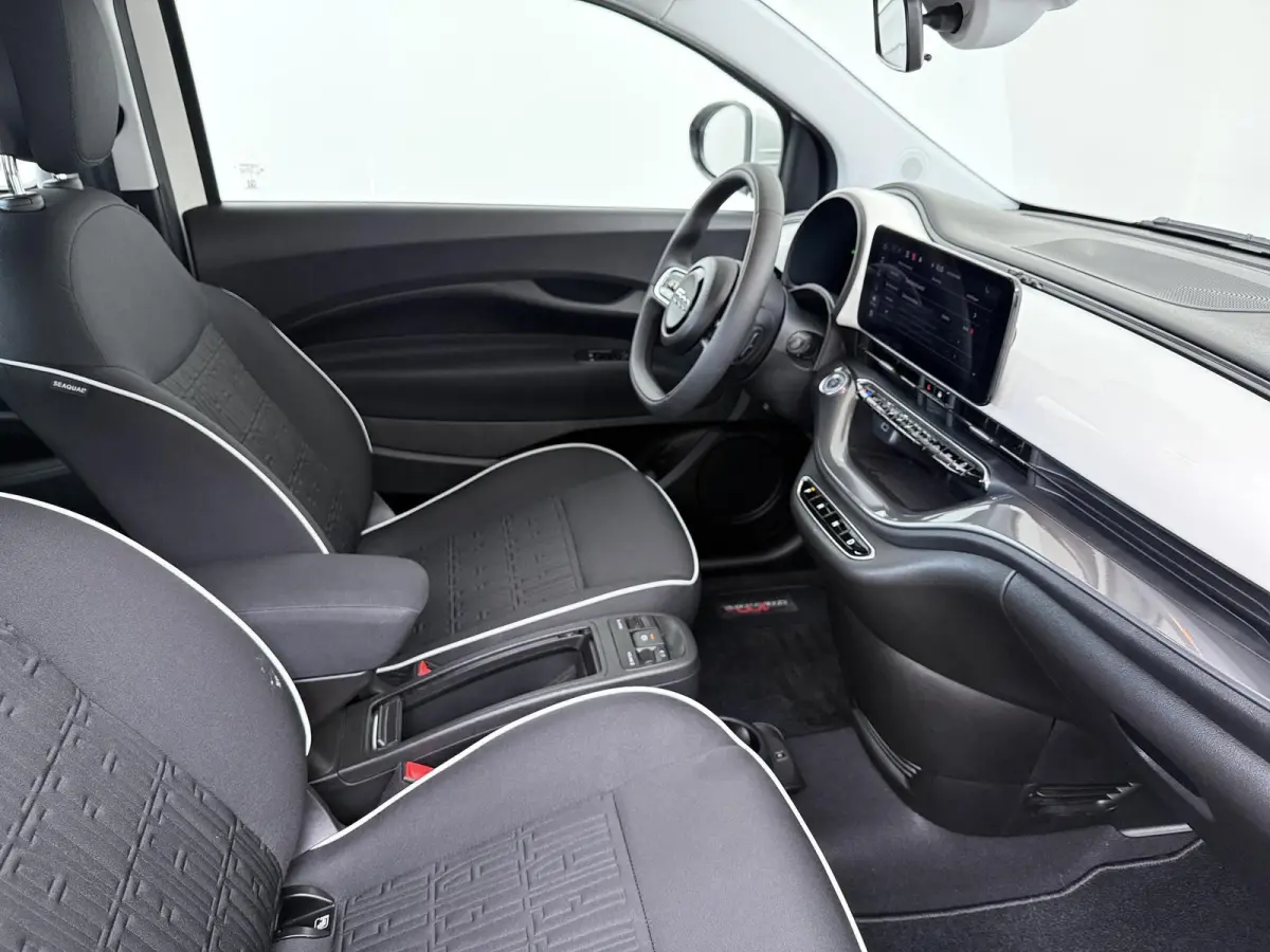 42 kWh | Pack Comfort | Lichtmetalen velgen | SoH 96,8 % |