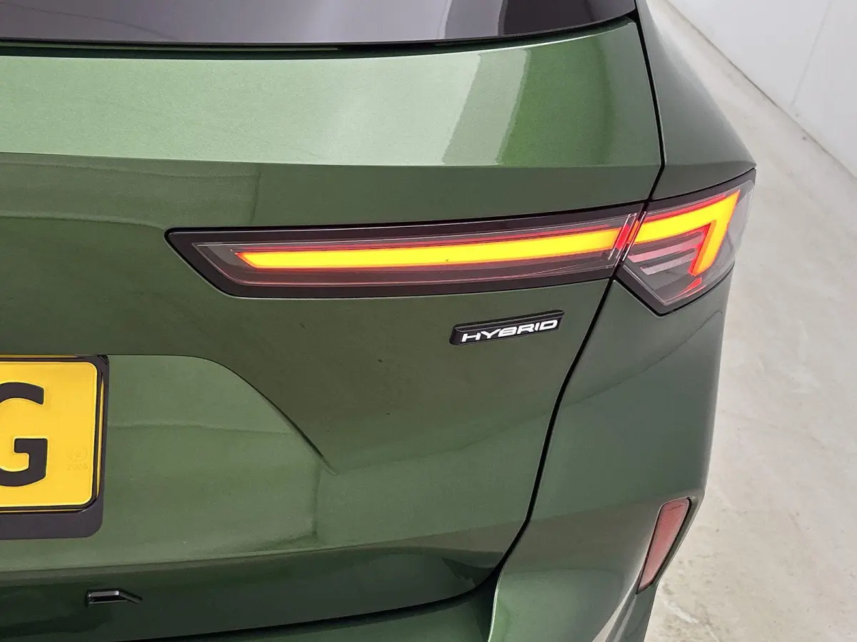 1.6 Turbo Plug In Hybrid Ultimate PANODAK | 180 CAMERA | LED MATRIX