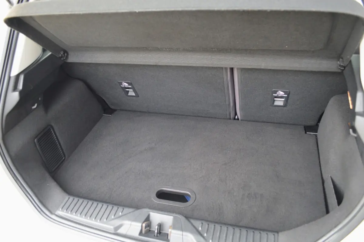 1.0 EcoBoost Vignale