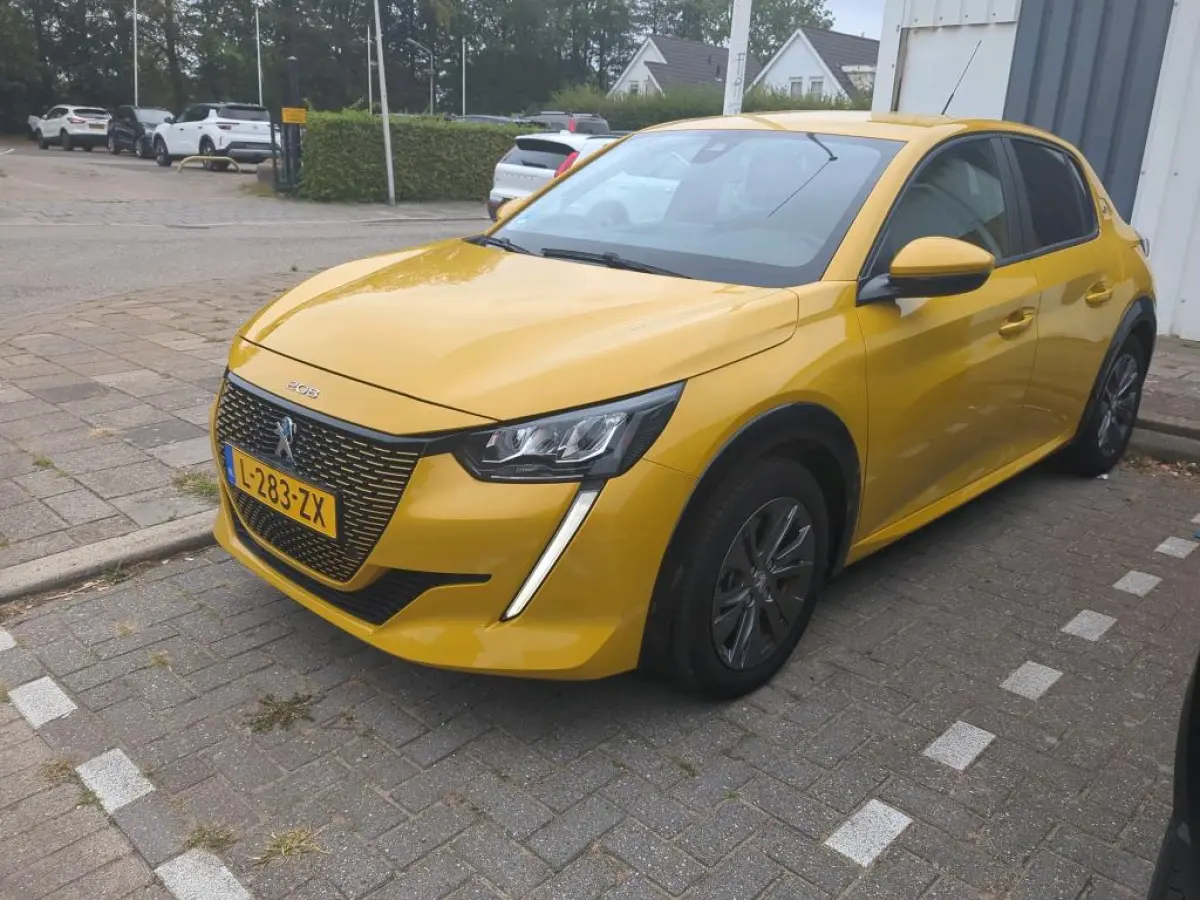 EV Active Pack 50 kWh | Navigatie | Parkeersensoren | Climate Control | Cruise Control | !!