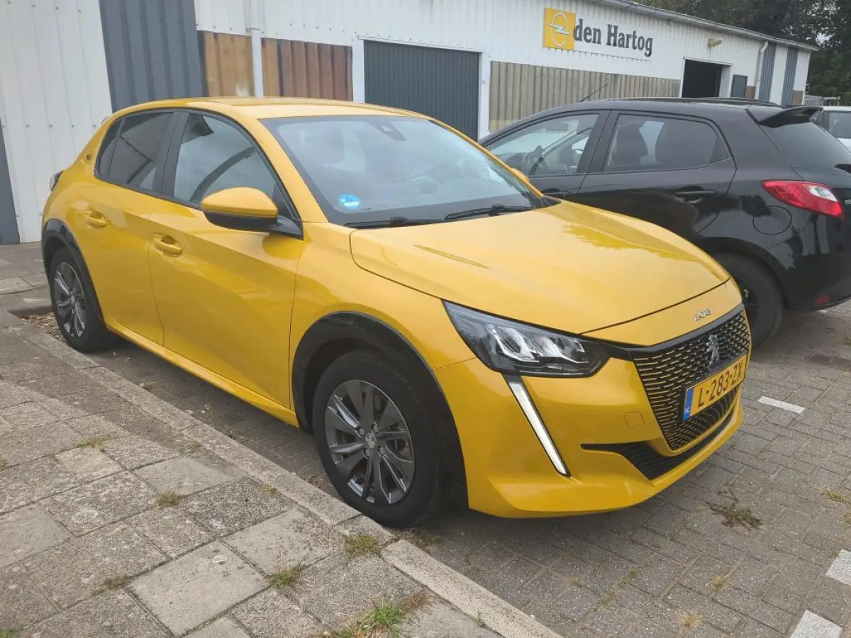 EV Active Pack 50 kWh | Navigatie | Parkeersensoren | Climate Control | Cruise Control | !!