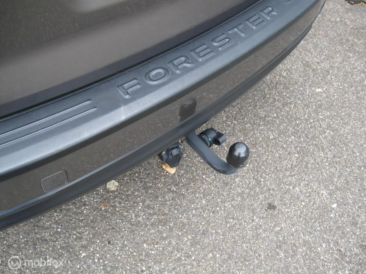 2.0 Comfort AWD CVT Clima Cruise Trekhaak NL auto