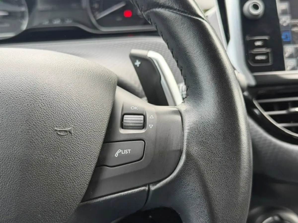 1.2 PureTech Blue Lion Aut. Navi Airco Trekhaak!
