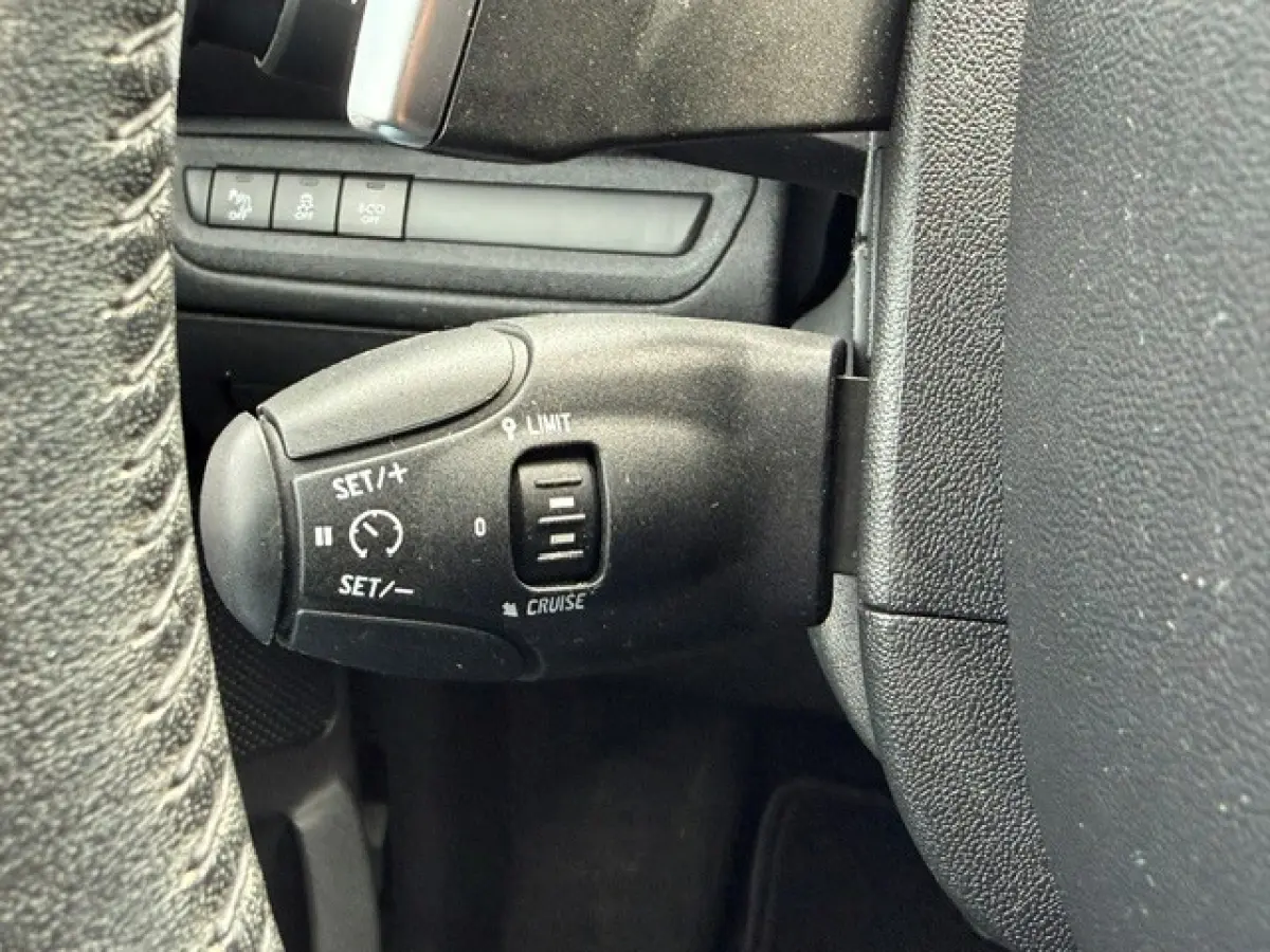 1.2 PureTech Blue Lion Aut. Navi Airco Trekhaak!