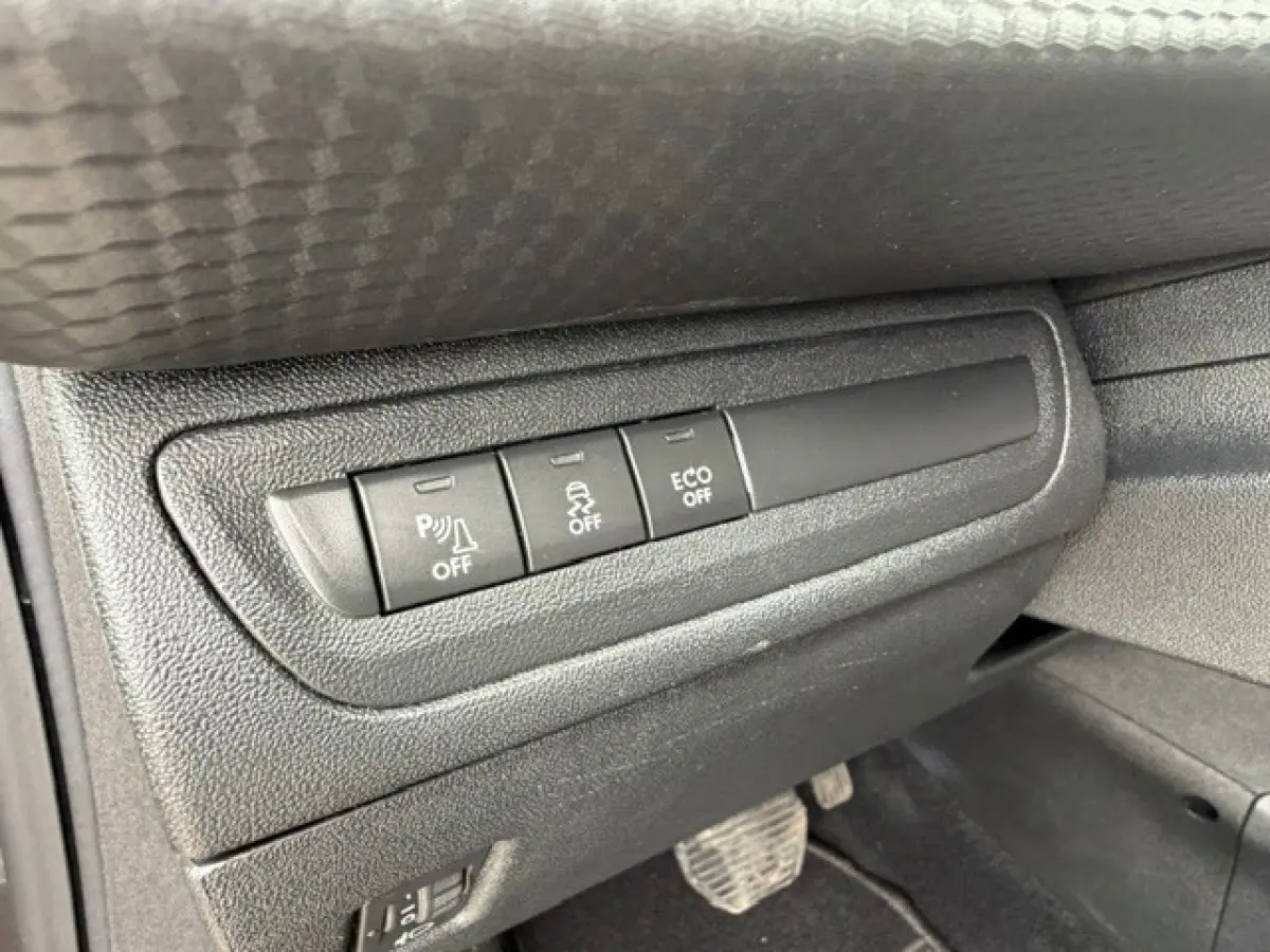 1.2 PureTech Blue Lion Aut. Navi Airco Trekhaak!