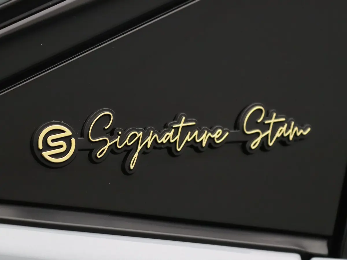 160pk Hybrid esprit Alpine "Signature Stam" Harman Kardon | Sportpakket