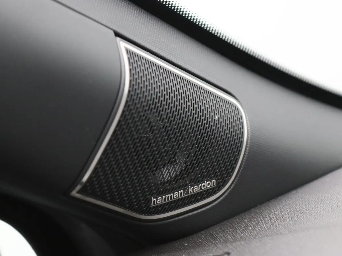 160pk Hybrid esprit Alpine "Signature Stam" Harman Kardon | Sportpakket