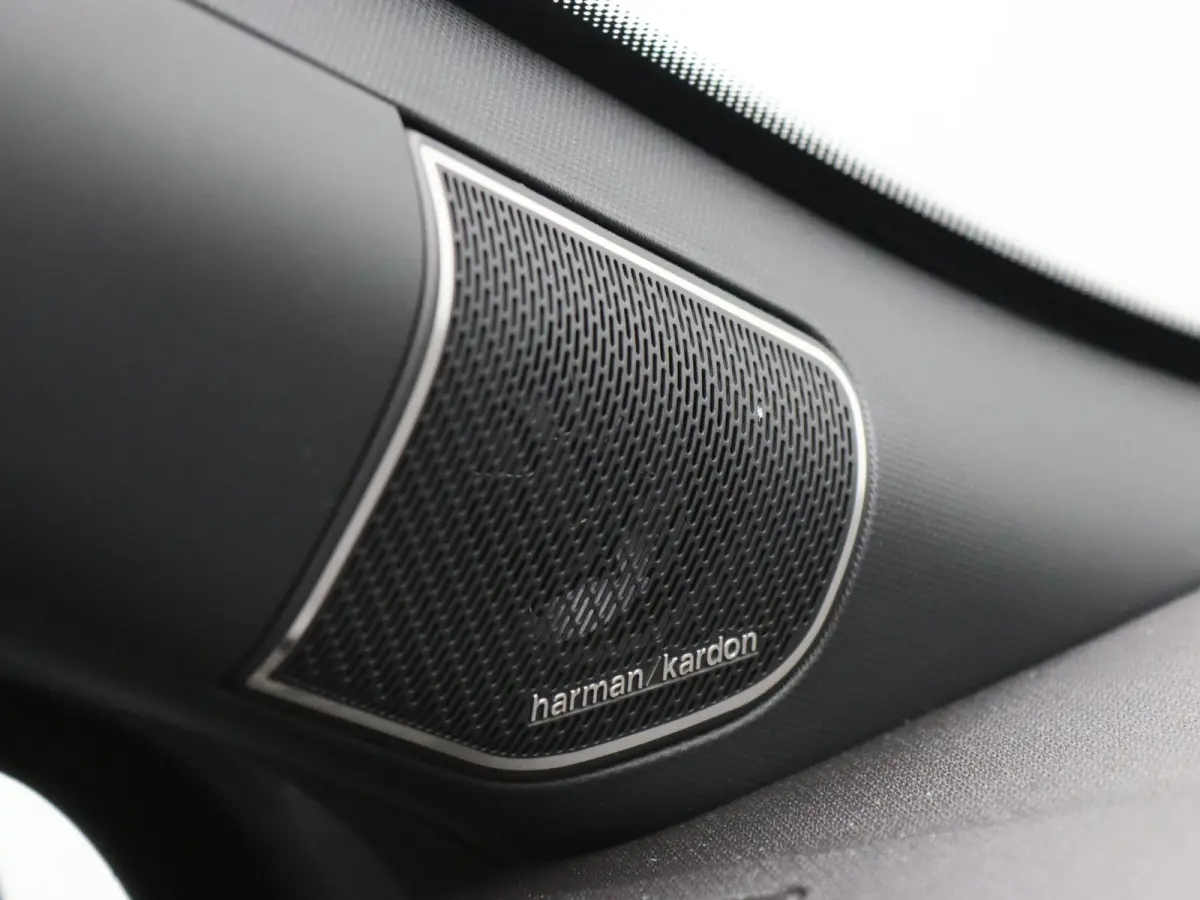 160pk Hybrid esprit Alpine "Signature Stam" Harman Kardon | Sportpakket
