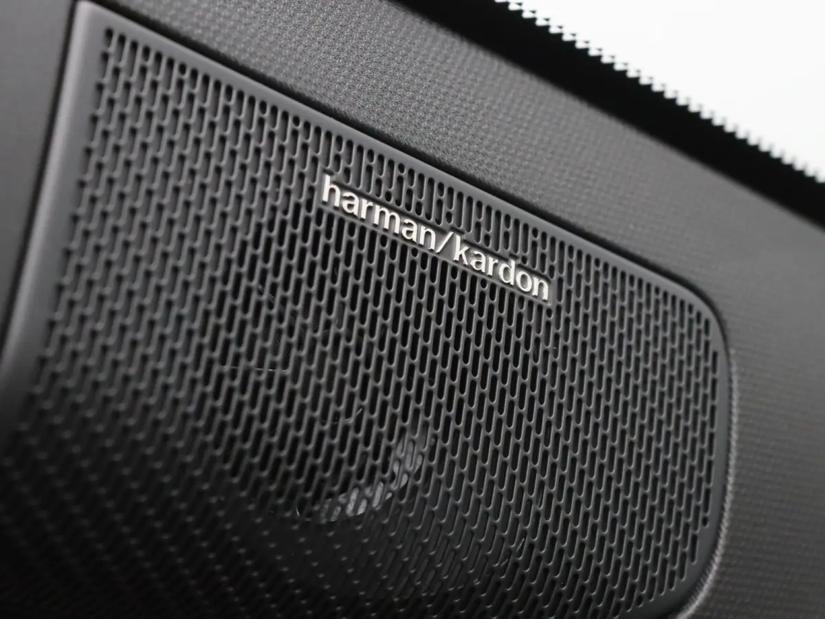 Iconic comfort range 52 kWh Signature Stam Harman Kardon | Leder
