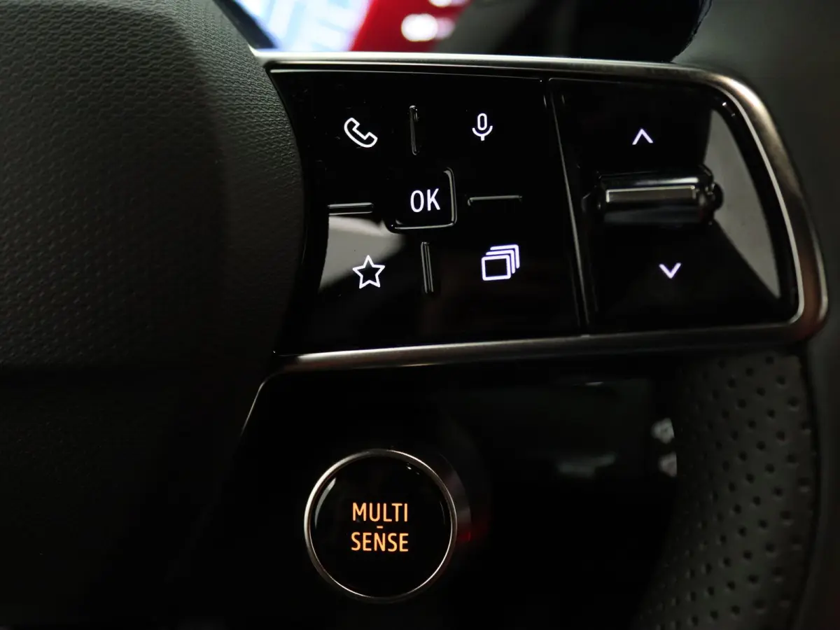 Iconic comfort range 52 kWh Signature Stam Harman Kardon | Leder