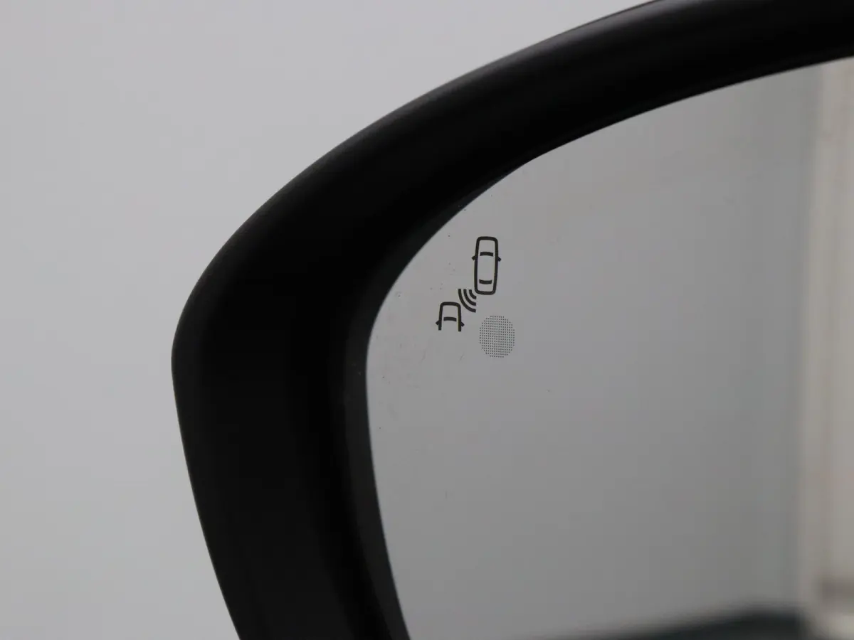Iconic comfort range 52 kWh Signature Stam Harman Kardon | Leder