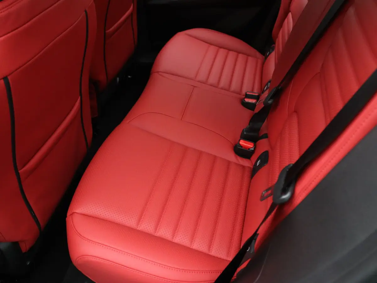 Iconic comfort range 52 kWh Signature Stam Harman Kardon | Leder