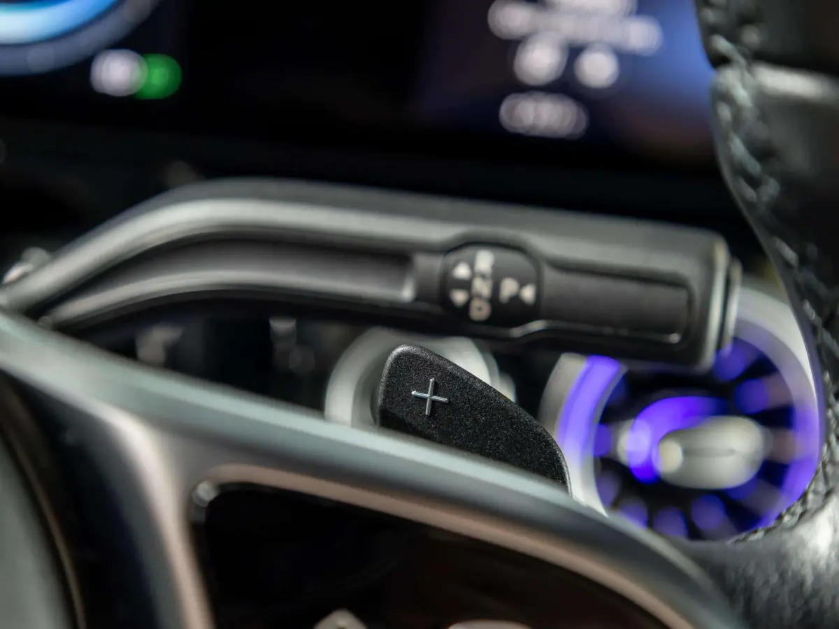 250+ Luxury Line 71 kWh | Panorama dak