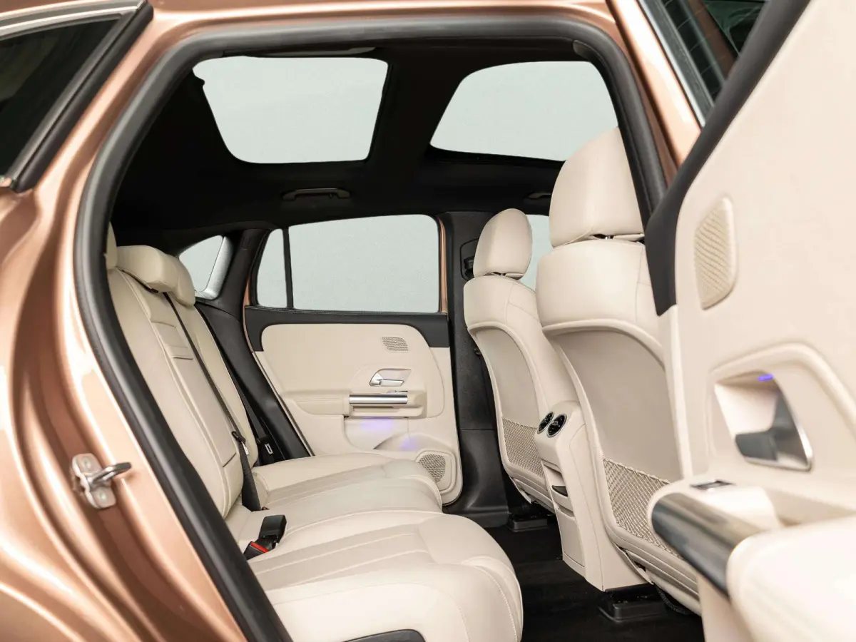 250+ Luxury Line 71 kWh | Panorama dak