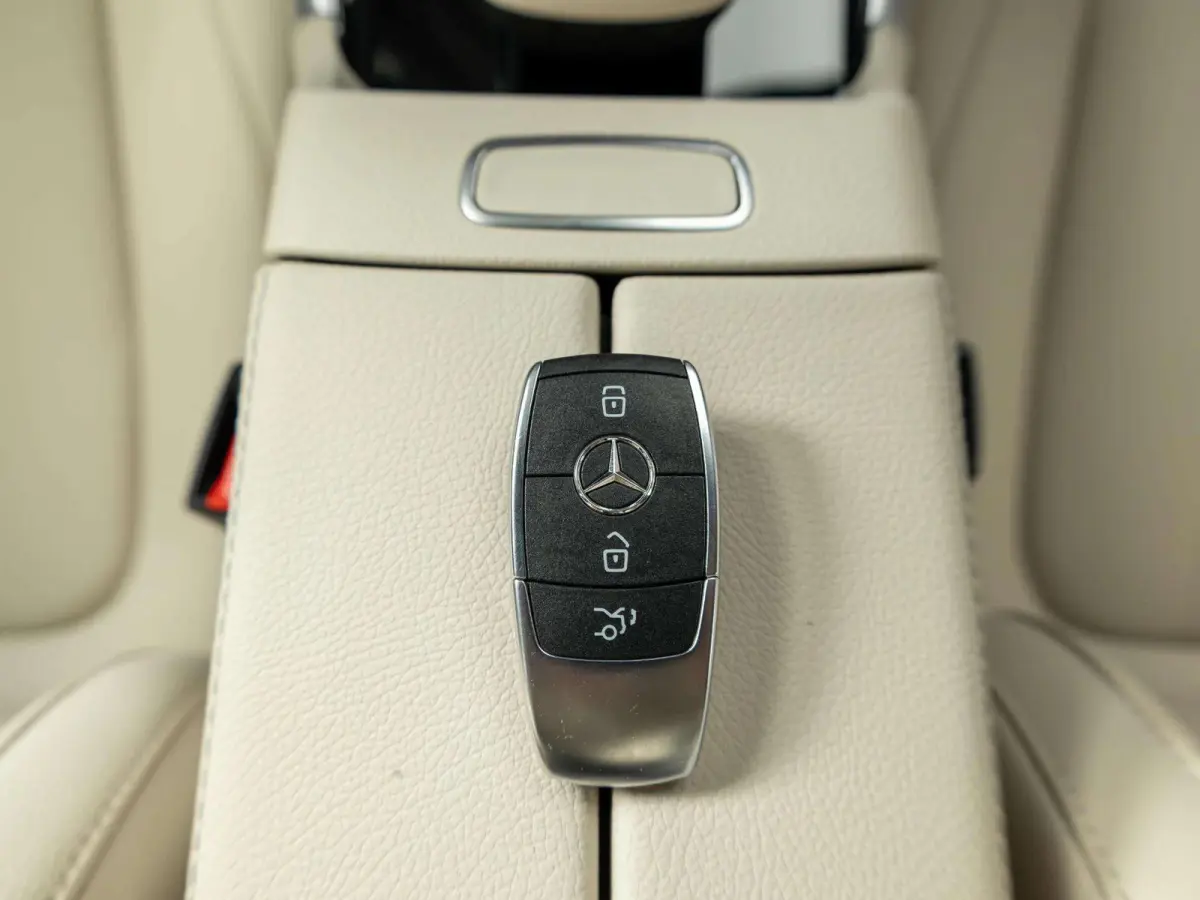 250+ Luxury Line 71 kWh | Panorama dak