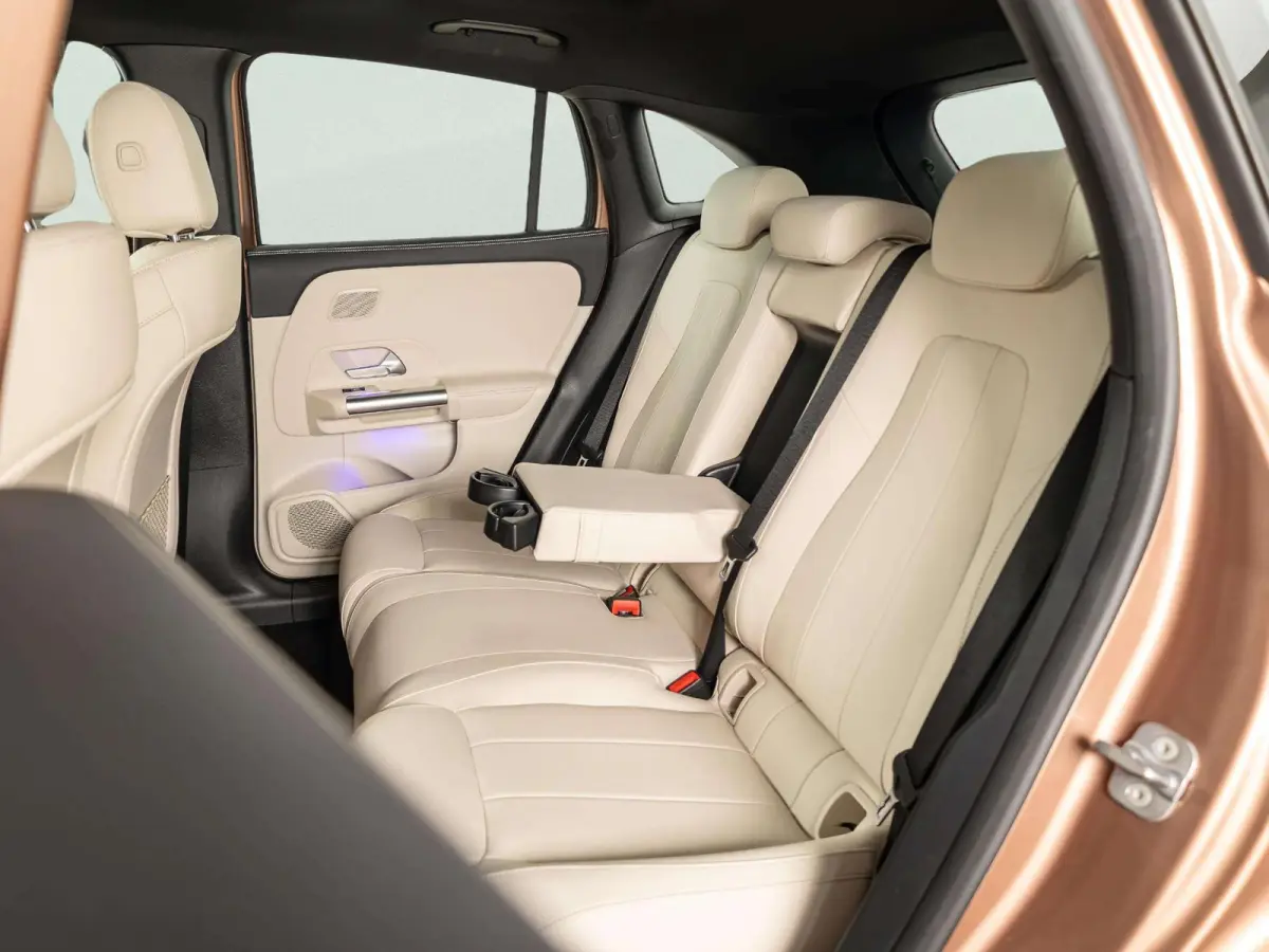 250+ Luxury Line 71 kWh | Panorama dak