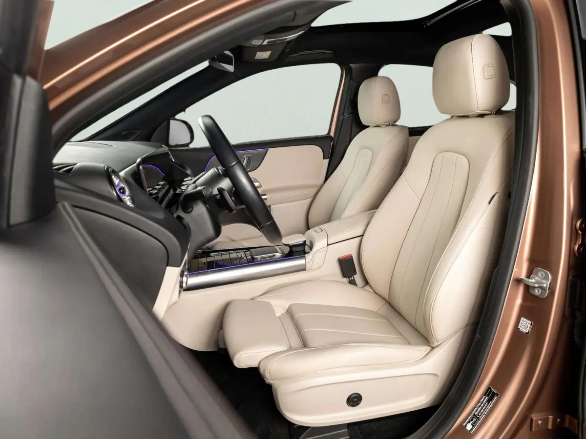 250+ Luxury Line 71 kWh | Panorama dak