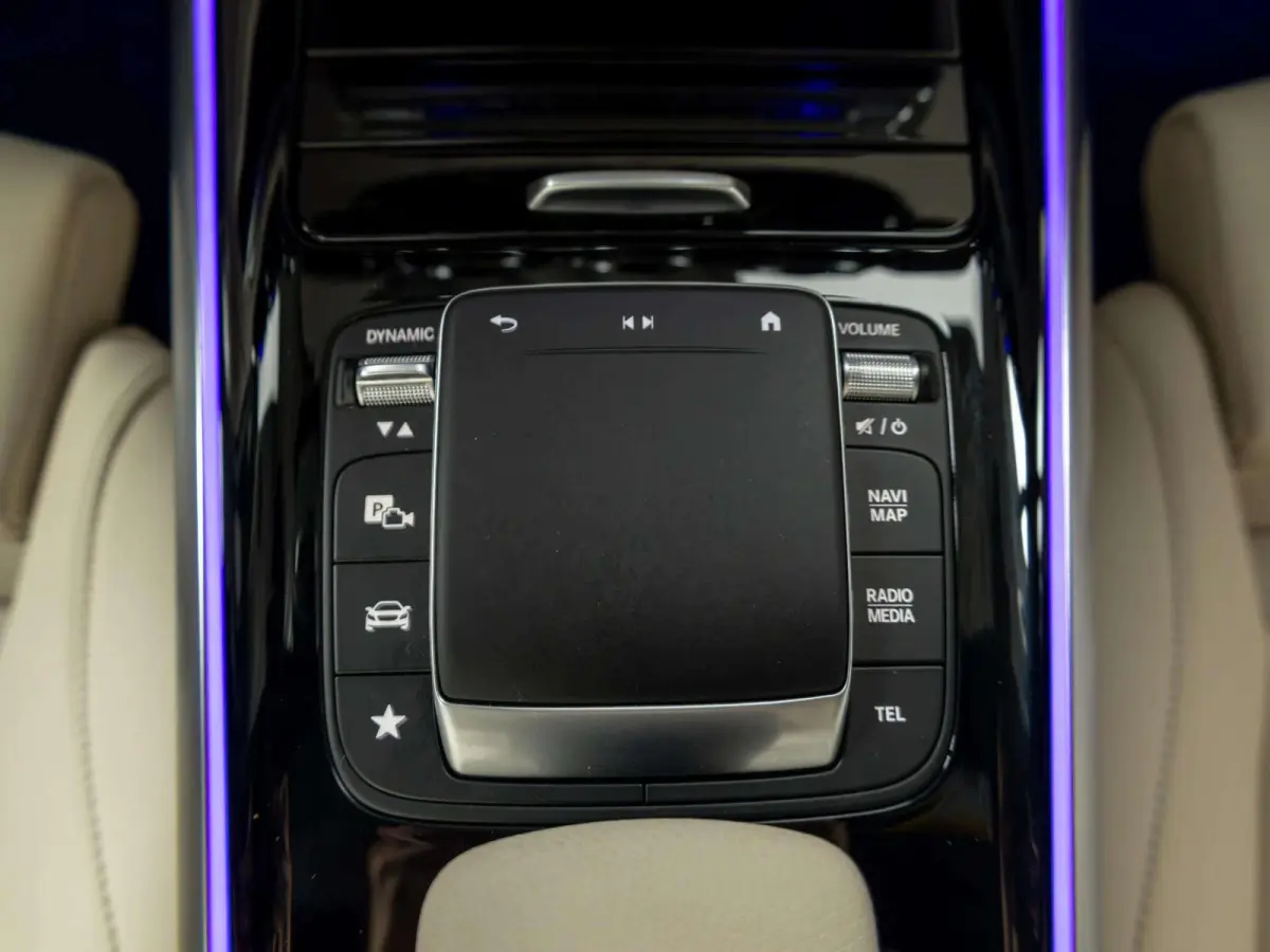 250+ Luxury Line 71 kWh | Panorama dak