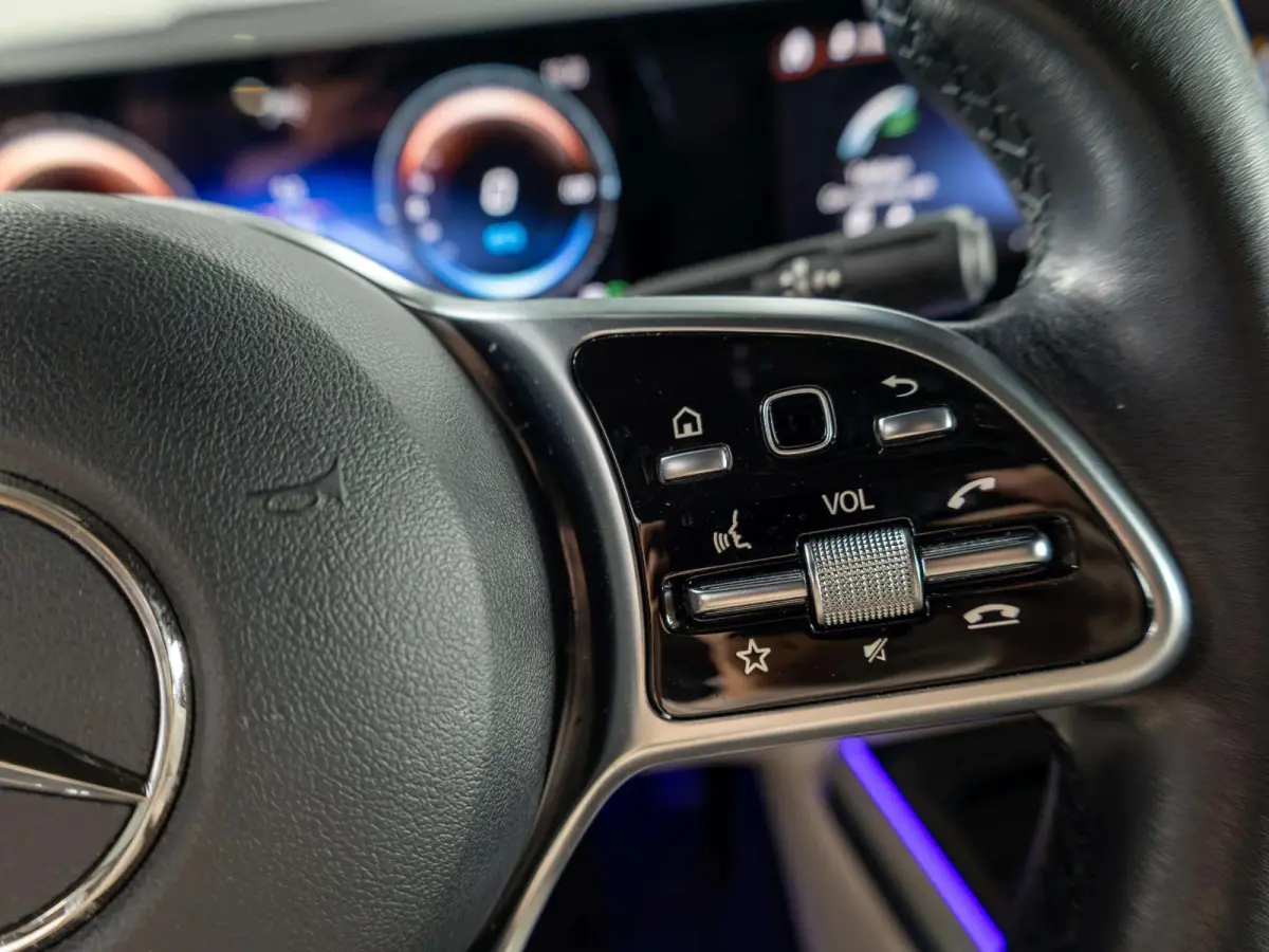 250+ Luxury Line 71 kWh | Panorama dak