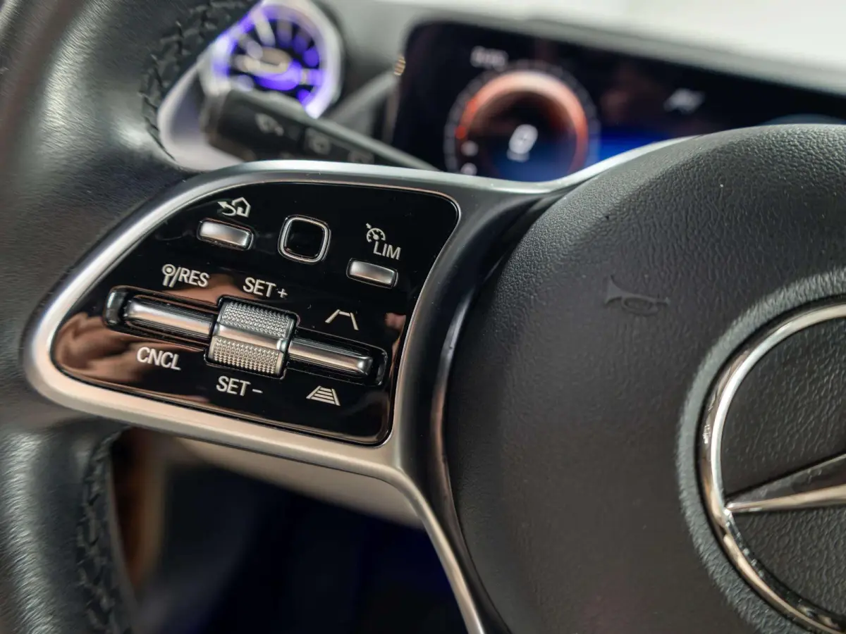 250+ Luxury Line 71 kWh | Panorama dak