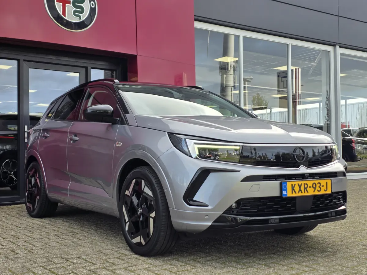 1.6 Turbo Plug-In Hybrid 4x4 GSe 300PK | Leer | Trekhaak | Winterpakket