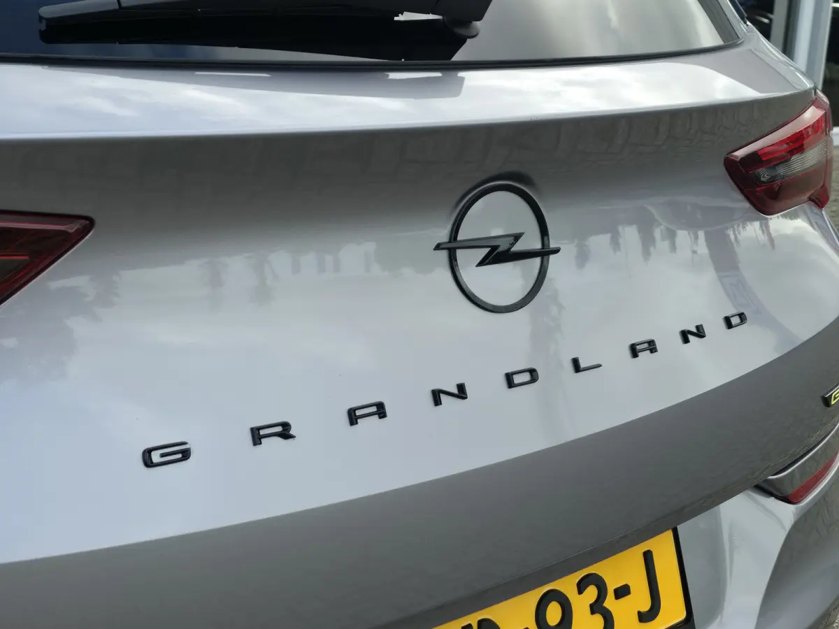 1.6 Turbo Plug-In Hybrid 4x4 GSe 300PK | Leer | Trekhaak | Winterpakket
