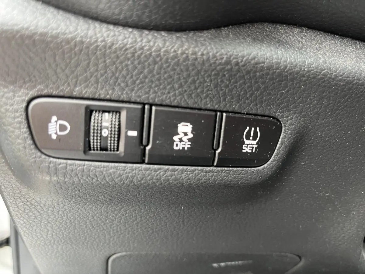 1.0 DPi DynamicLine | Parkeercamera | LM-velgen | Apple carplay/Android auto