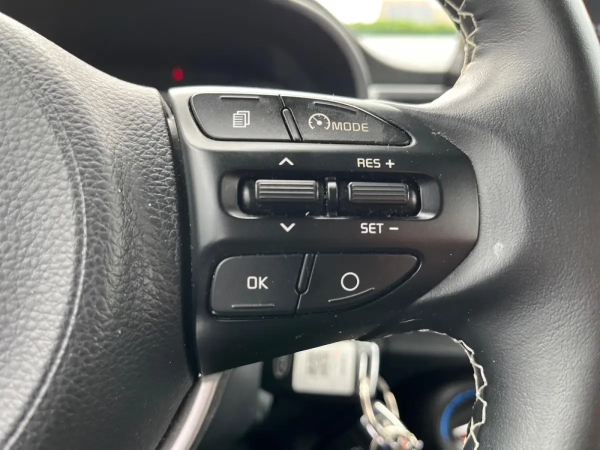 1.0 DPi DynamicLine | Parkeercamera | LM-velgen | Apple carplay/Android auto