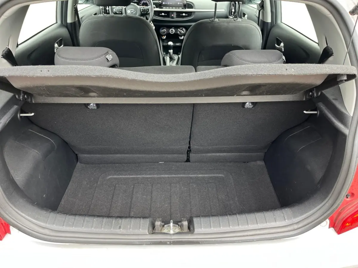 1.0 DPi DynamicLine | Parkeercamera | LM-velgen | Apple carplay/Android auto