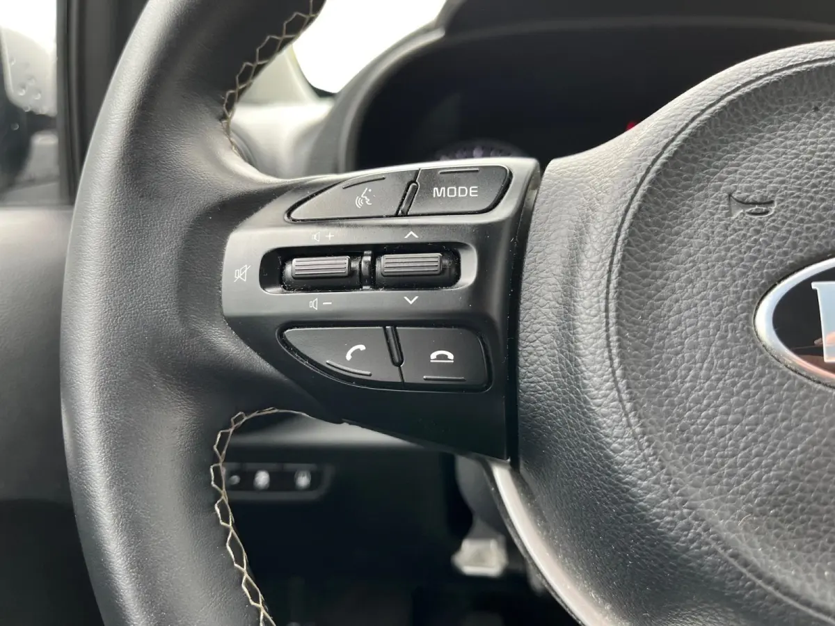 1.0 DPi DynamicLine | Parkeercamera | LM-velgen | Apple carplay/Android auto