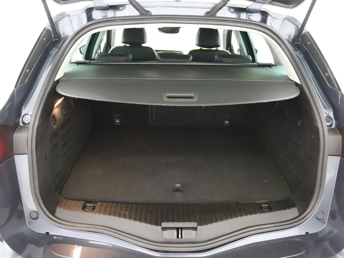 Plug-in Hybrid 160 Intens | Navigatie | Achteruitrijcamera |
