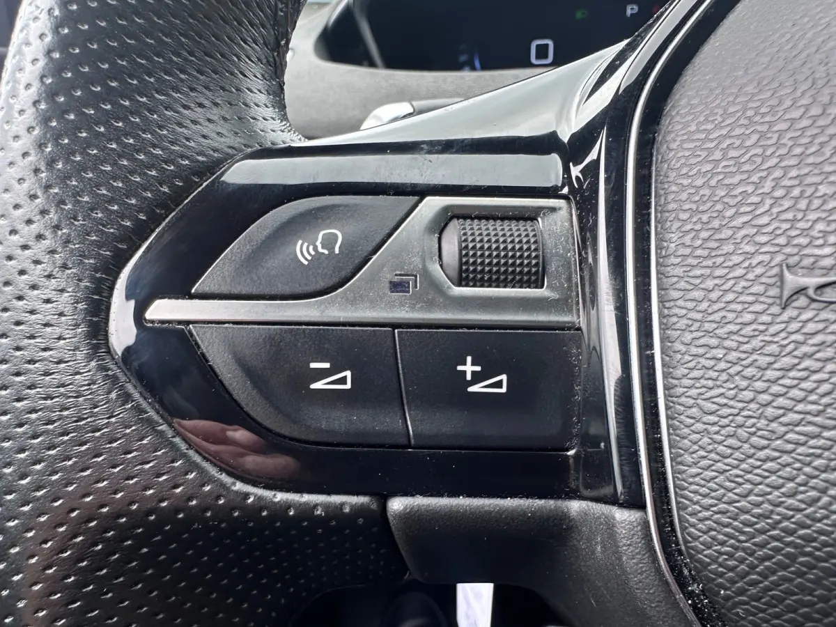 1.2 PureTech GT Line PANO AUTOMAAT LED
