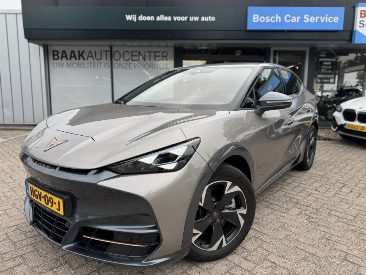 Business 82 kWh | Navi | Stoelverwarming | Warmtepomp