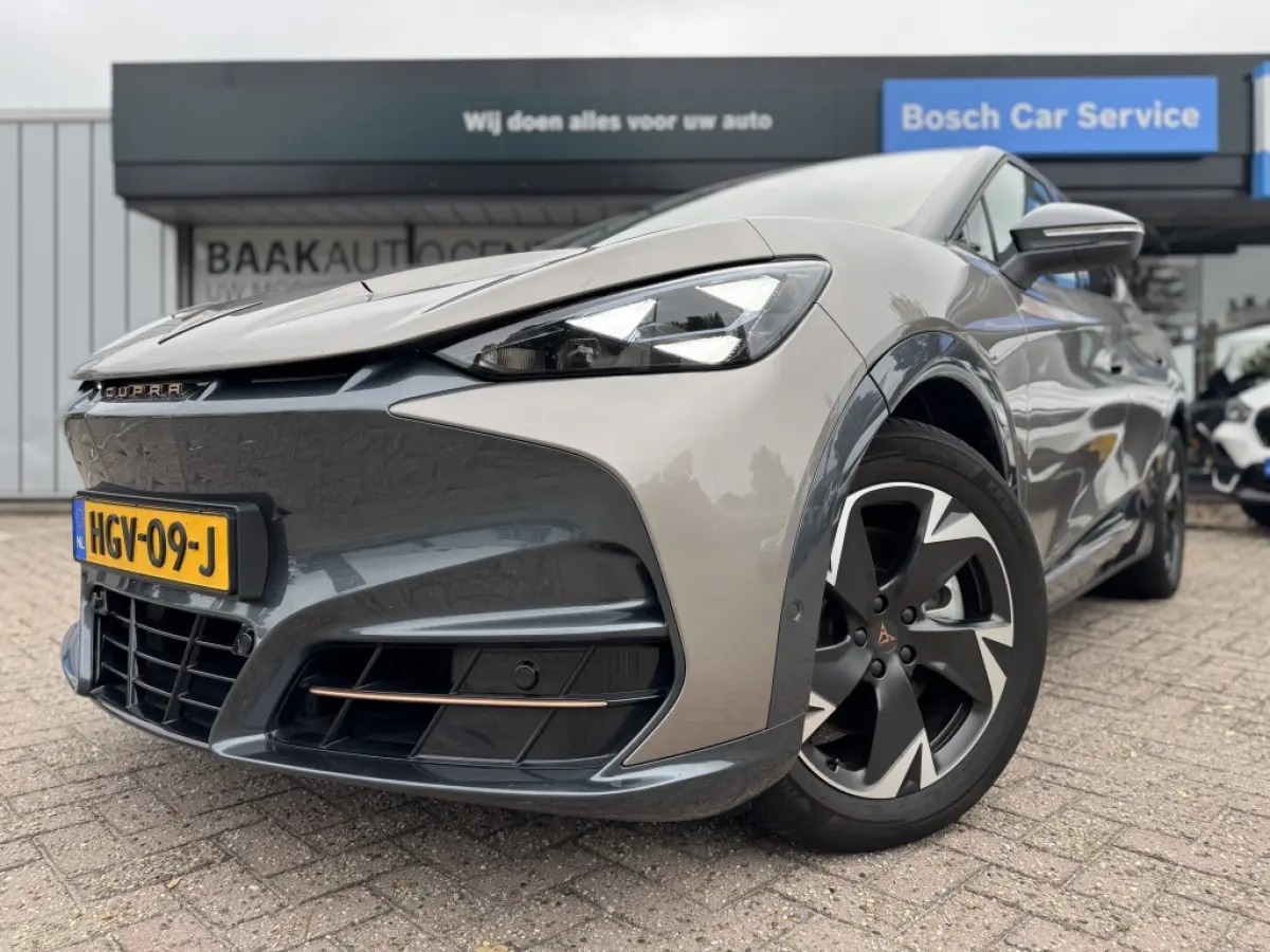 Business 82 kWh | Navi | Stoelverwarming | Warmtepomp