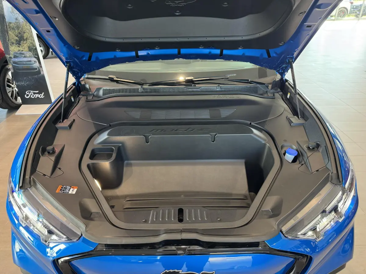 Extended Premium RWD 88 kWh | Direct leverbaar | €6856,- Ford voordeel | Camera + PDC | Adaptief Cruise Control | Clima | Stoelverwarming |