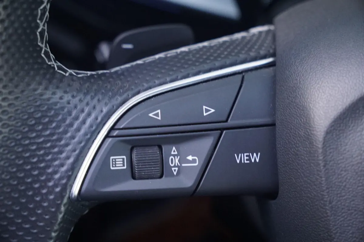 45 TFSIe 245pk PHEV S Edition Competition | Panoramadak | Topview | Keyless | Matrix-LED | Sonos | Optiek Zwart Plus
